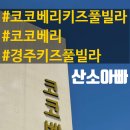 베리키즈풀빌라