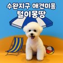 털이몽땅 이미지