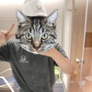 매일사우나 | [광명 사우나]솔로사우나 레포 이용후기