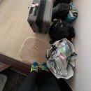 제나피트니스 | 마음이 힘들 땐 고양이를 세어 봐