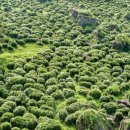 원광대학교 동양학대학원 이미지