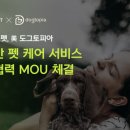 포펫