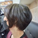 샴푸보이 이미지