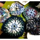 행복나무지역아동센터 이미지