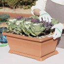 홈가드닝 이미지