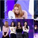 스텔라뷰티