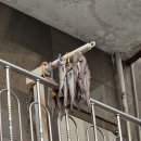 넘버원자동차피부과 이미지