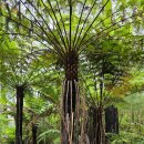 이섬주유소 이미지