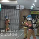 축산물브랜드육타운 이미지