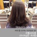 루시아미용실 이미지