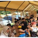 경희대 최강태권도장 이미지