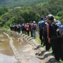 대진양계장 이미지