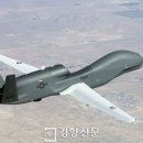 더글로벌 이미지