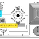 라디오닉스 이미지