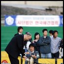 샤론 Daum카페