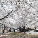 구암동270 이미지