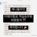 애니플라잇