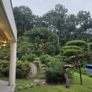 유정1955 이미지