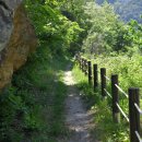 왕피천 은어길 이미지