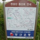 백동마을