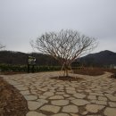 금강생태마당 이미지