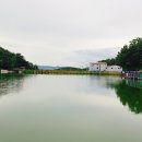 살구골낚시터 이미지