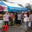 영양군생태공원사업소
