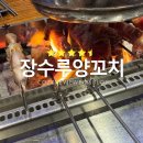 양꼬치92 | 의정부 양꼬치 맛집 장수루양꼬치, 재방문할 수밖에 없는 이유
