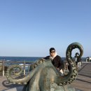 영일정비 | 포항 당일치기 코스, 해돋이 명소 호미곶 일본가옥거리 감성 산책 추천해요~