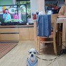 소모도 찐빵이랑~~ 이미지