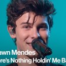Shawn Mendes - There's Nothing Holdin' Me Back 이미지