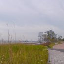 대부바다향기 테마파크 이미지