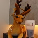 보충한의원 이미지