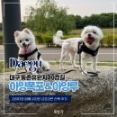 동촌마을회관 | 대구 동촌유원지 10경길 산책하기 좋은 시원한 아양폭포 아양루