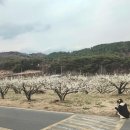 정동보건진료소 이미지