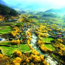 (주)백제허브 이미지