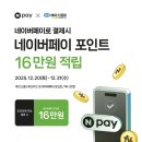 에이스정수 네이버블로그