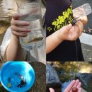 용인대 성원 태권도 이미지