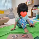 히히 - 고양시 일산서구 대산로 162 | 22개월 아기 방문수업 후기 - 히히호호 1개월차 반응, 비용
