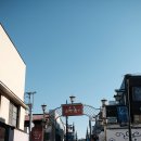 양지헤어스케치 | 벚꽃 따라간 일본 여행 가마쿠라(鎌倉), 츠루가오카 하치만구(鶴岡八幡宮)-1부