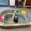 신천목욕탕 이미지