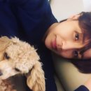 윤진이 카카오 검색결과