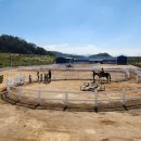 악양 승마장 이미지