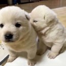 우리마트 월성점 이미지