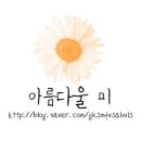아름다울미