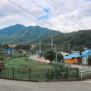 신리할머니 이미지