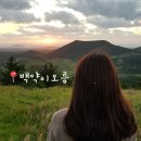 이길만 | 제주 백약이오름 후기 (주차, 소요시간) | 일출·일몰 둘 다 예쁜 오름