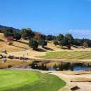 봄나드리투어 이미지