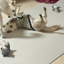 타임빌리지 이미지