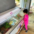 산들염소농장 | 경북 김천 아이랑 키즈 캠핑장 추천 ‘팜스프링캠프관광농원’ 내돈내산 솔직후기